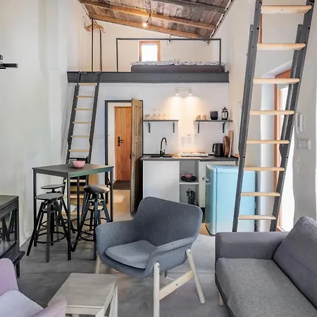 Tiny House, Podkrovni A S Vyhledem Do Zahrady * אוסטרבה