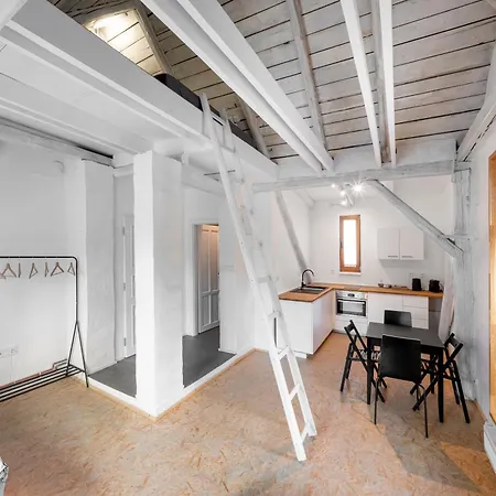 Tiny House, Podkrovni A S Vyhledem Do Zahrady אוסטרבה