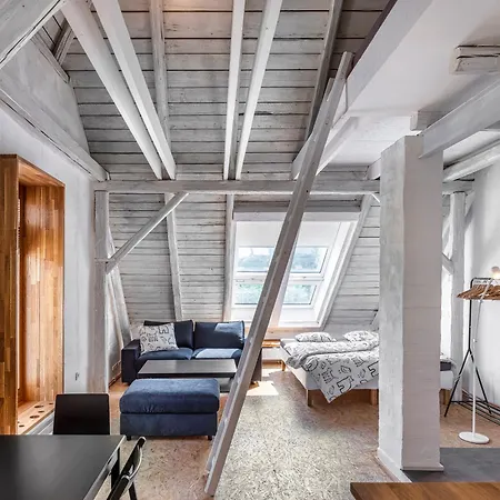 Tiny House, Podkrovni A S Vyhledem Do Zahrady 俄斯特拉发