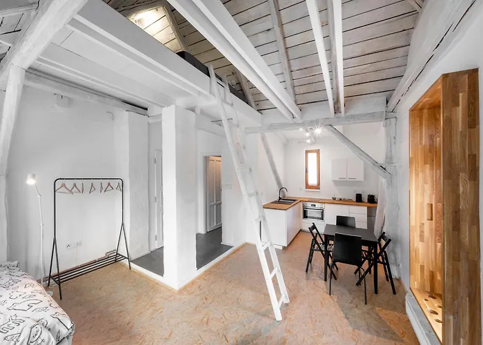 Tiny House, Podkrovni A S Vyhledem Do Zahrady Ostrava